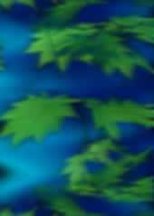 水の碧・葉の緑