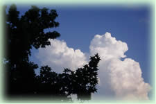 入道雲