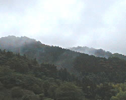 山気