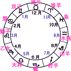 夜見える星座