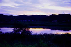富田川の夕暮れ