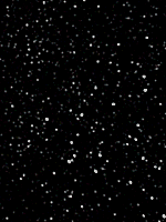 夜の雪