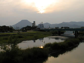 夕暮れの哲学者・青鷺