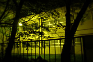 夜の学校