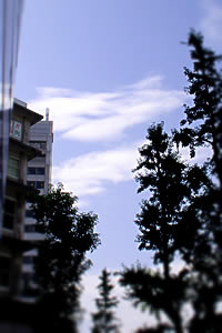 夏の雲
