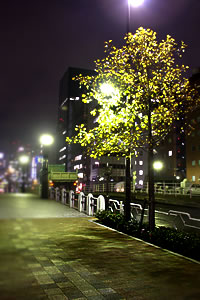 寒い夜