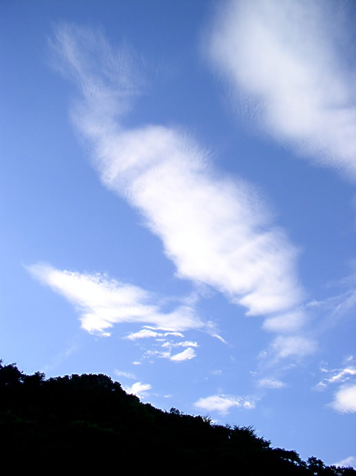 夏の空の色