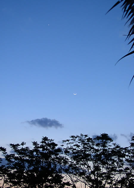 月と金星