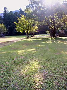 大斎原内域