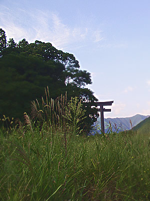 裏側からの大斎原