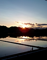 田毎の夕日