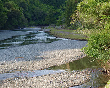 小魚の河