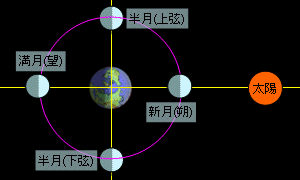 朔望説明図