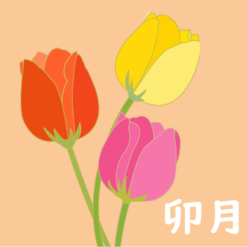 卯月
