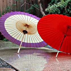 雨あがる